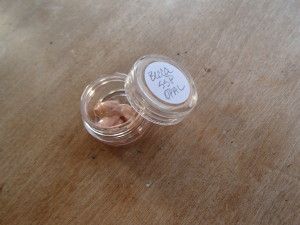 Everyday things - sample jars