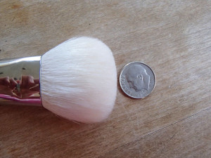 Cheek Brush - Oblong