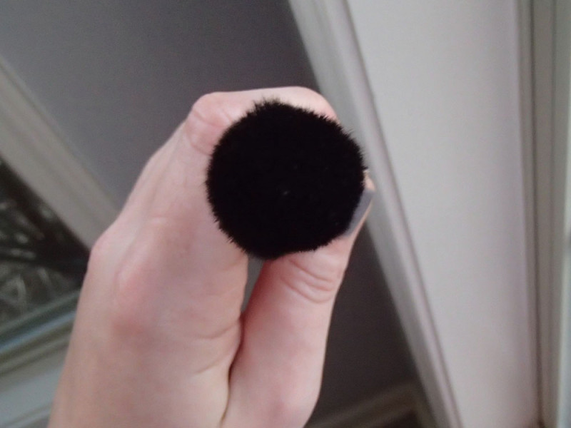 Wayne Goss 02 Brush