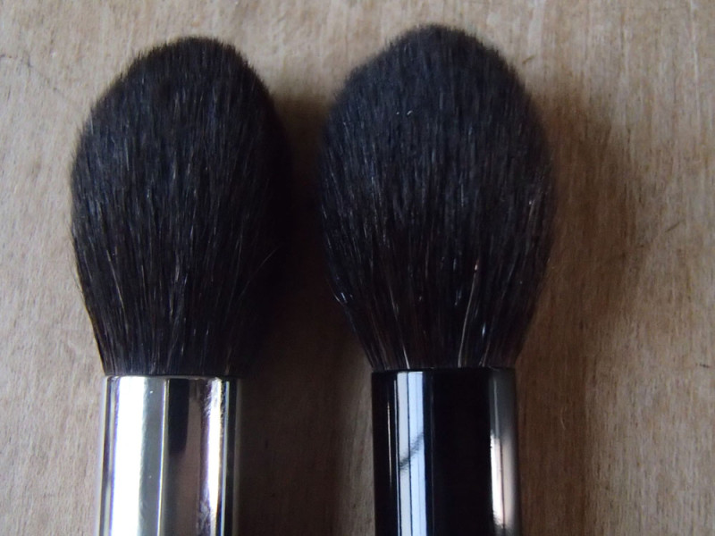 Wayne Goss 02 Brush vs Hakuhodo G5523