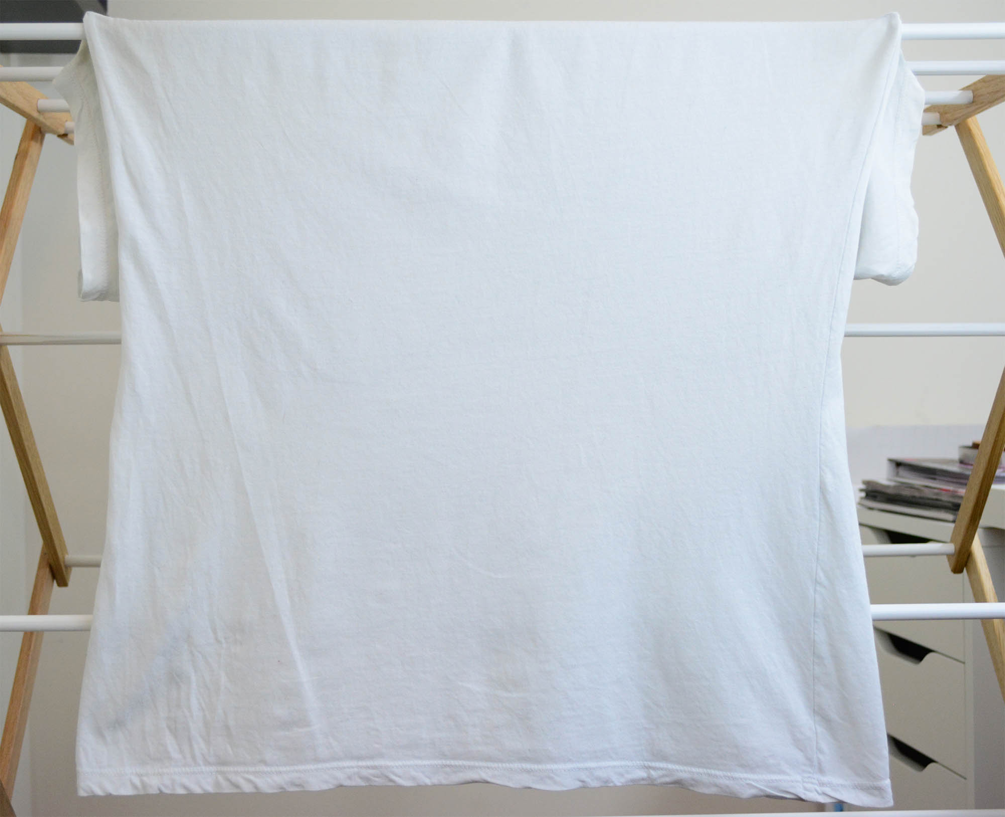 Everlane White V-Neck