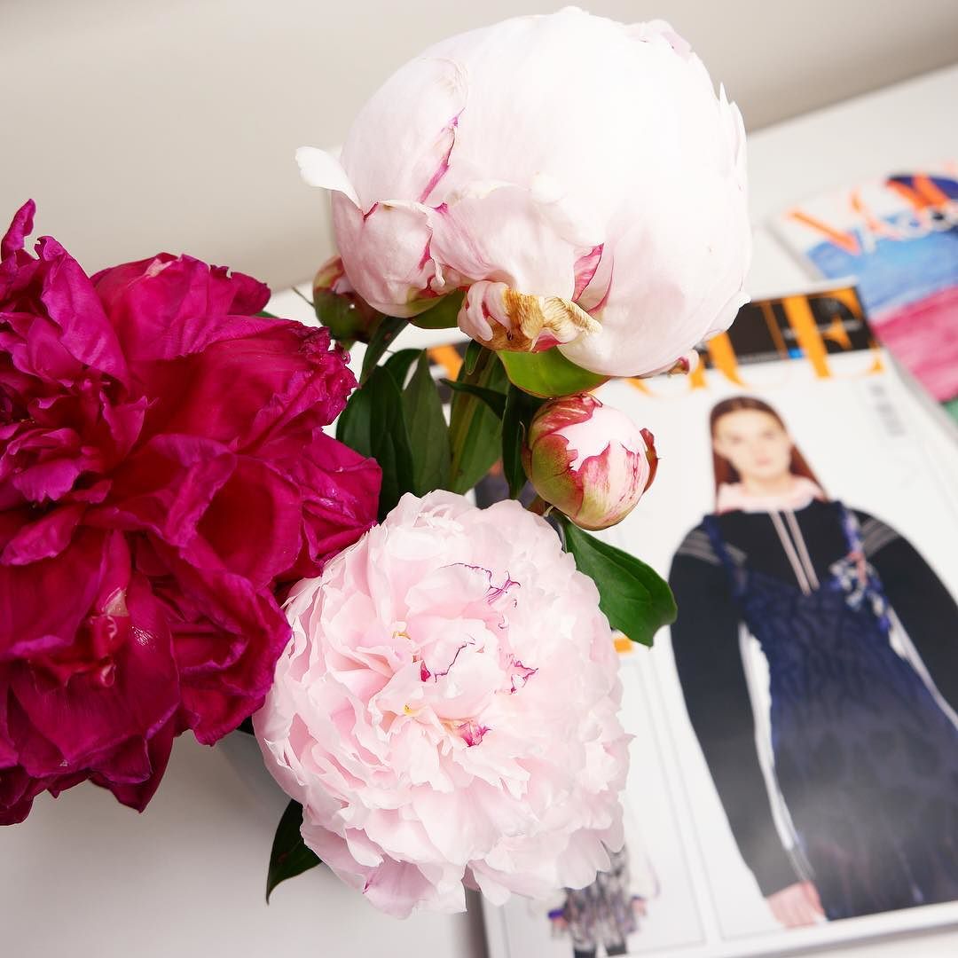 Peonies