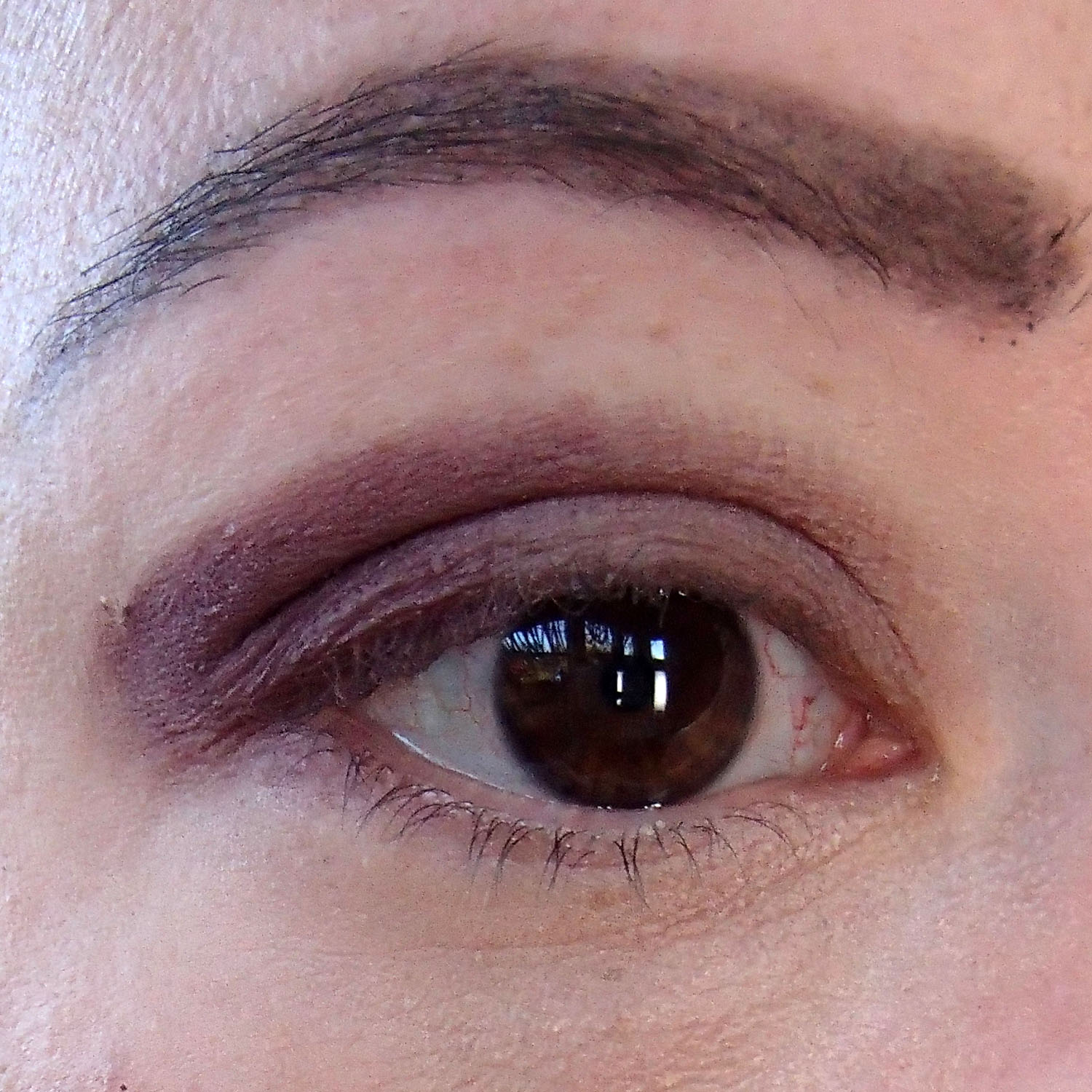 Laura Mercier Purple Smoky Eye