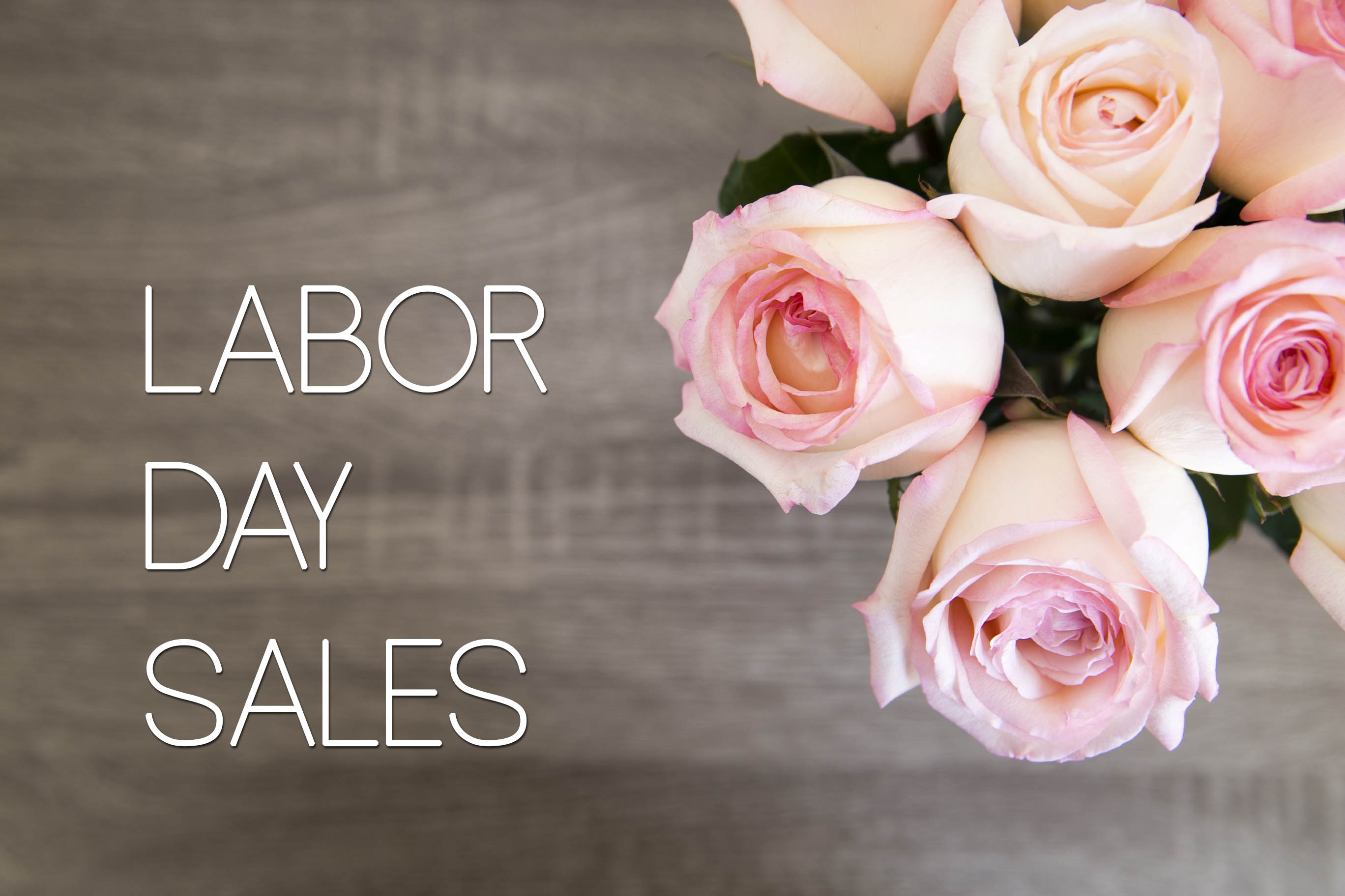 Get Your Wishlist Now – Best 2017 Labor Day Sales