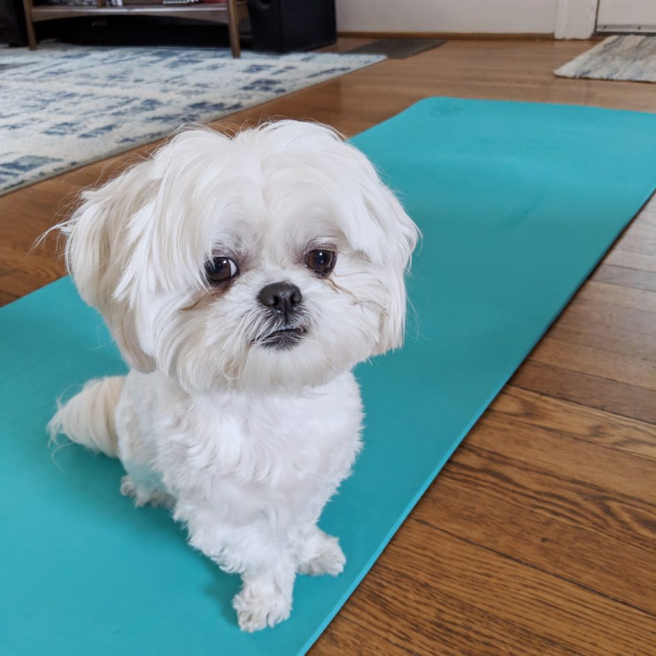 Yoga mats review